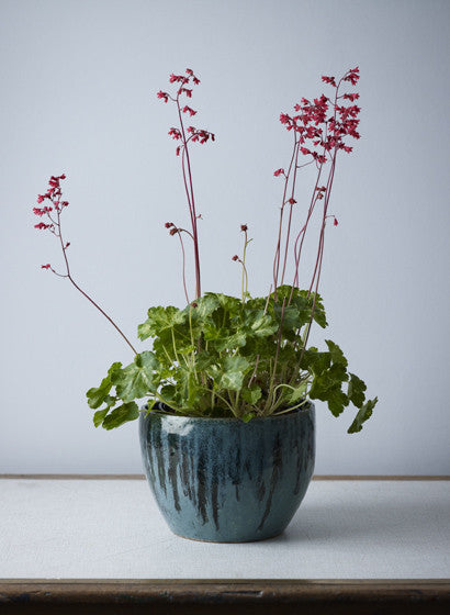 Glazed plant pot